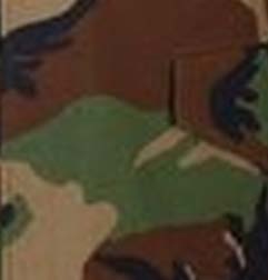 Woodland Green / Brown / Tan